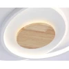 Светильник потолочный Ambrella light COMFORT FL4788