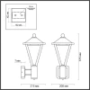 Уличный настенный светодиодный светильник Odeon Light Nature Bearitz 6655/15WL3