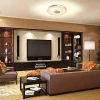 Умный светодиодный светильник Astrella IMIGY 60W R-480-GLORY-220V-IP44 Maysun с пультом ДУ