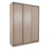 Шкаф-купе Бассо 5-600