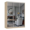 Шкаф-купе Бассо 4-600