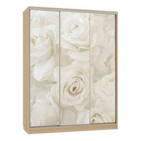 Шкаф-купе Бассо 7-600 розы