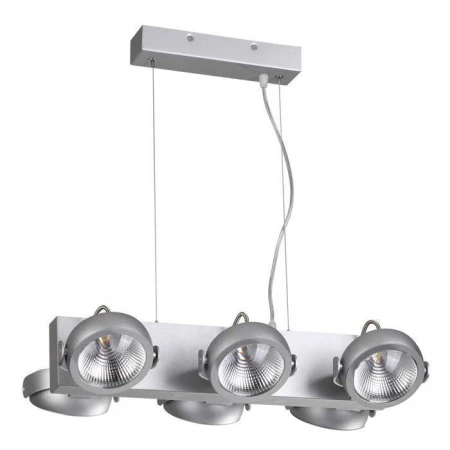 Светильник Odeon Light 3494/60L FLABUNA