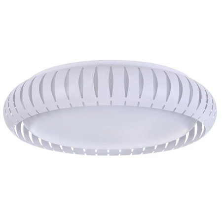 Светильник Freya FR6159-CL-24W-W Assanta