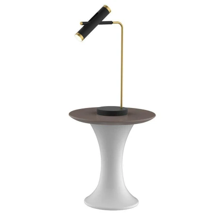 Настольная лампа Favourite 2324-2T Duplex