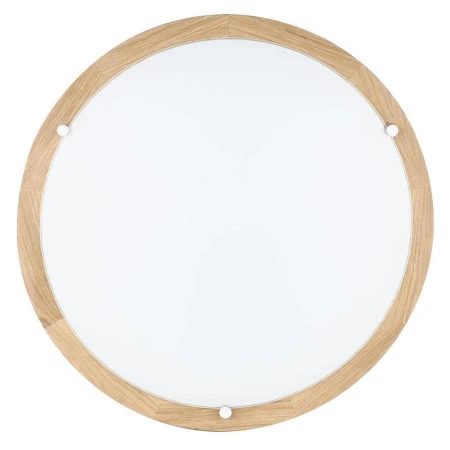 Настенно-потолочный светильник Spot Light 4754274 Frida