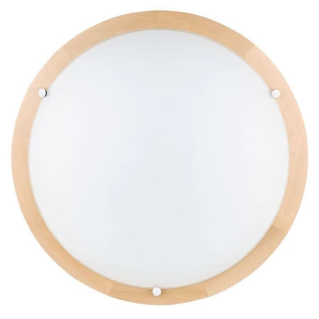 Настенно-потолочный светильник Spot Light 4753260 Frida