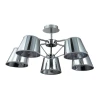 Потолочная люстра Lumion Barensa 3281/5C