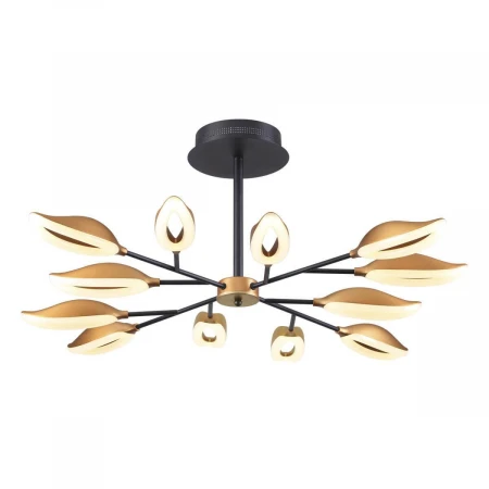 Потолочная светодиодная люстра Odeon Light Gardena 3903/84CL