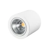 Потолочный светодиодный светильник Arlight SP-Focus-R140-30W Day White 021428 Потолочный светодиодный светильник Arlight SP-Focus-R140-30W Day White 021428