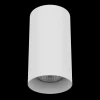 Потолочный светильник Lightstar Rullo 216486