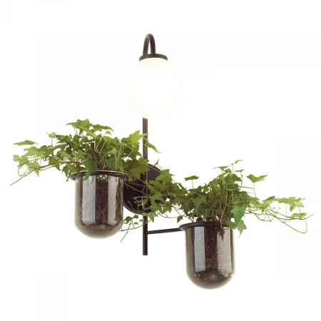 Настенный светильник Odeon Light Flower 4681/1W