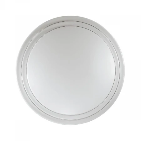 Настенно-потолочный светодиодный светильник Sonex Flim 2046/CL