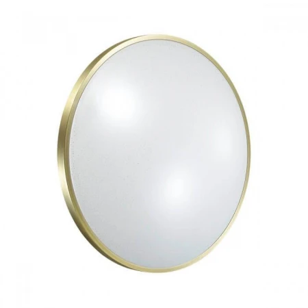 Настенно-потолочный светодиодный светильник Sonex Lota Bronze 2089/EL