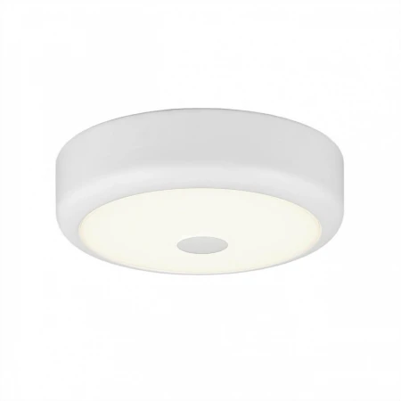 Потолочный светодиодный светильник Citilux Фостер-1 CL706110